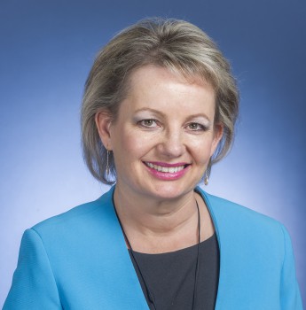 Sussan Ley HR