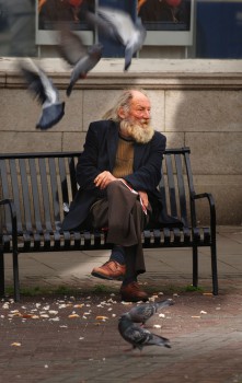 homeless pigeon man on bench seat
