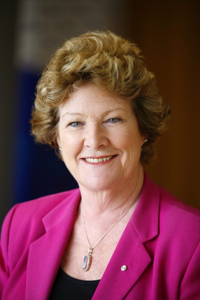 NSW e-health vision underway