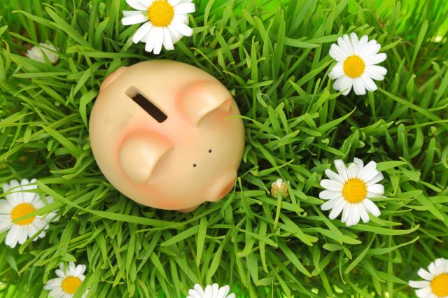Budget wishes: providers highlight remote funding, HCP uptake     