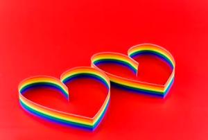 Organisations strive for LGBTI inclusive practices