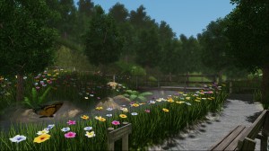 Building a forest for aged care