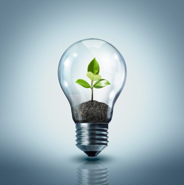Thinking creatively about lifestyle in aged care