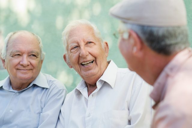 Companionship program needs greater visibility, government told