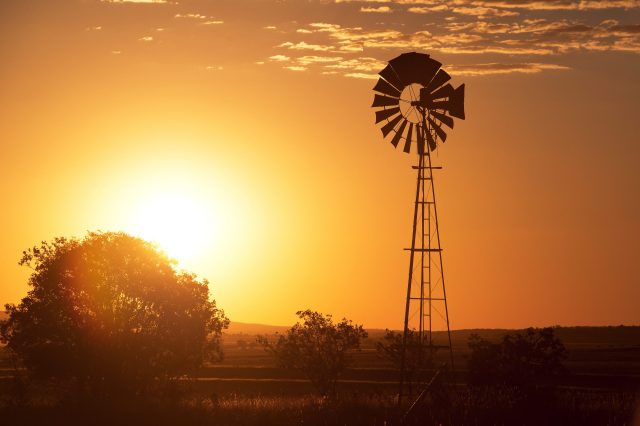 Senate inquiry launched into rural mental health