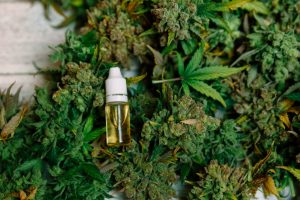 Australian-first study trialling cannabis with residents with dementia