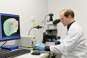 ‘Brain in a dish’ offers hope for dementia treatment