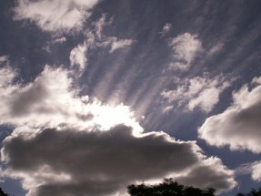 Home care providers dip toes into cloud technology