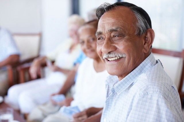 Are you using the CALD Action Plan?