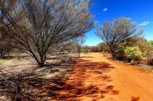 Poor access to aged care in regional areas doesn’t add up