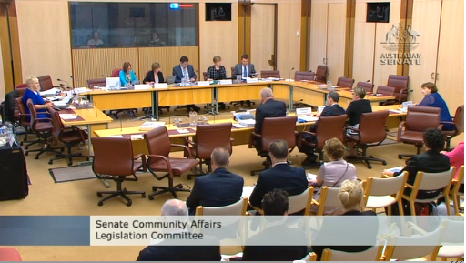 DSS officials appear before Senate estimates hearing yesterday