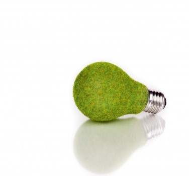 Sustainability