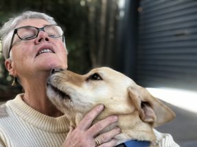 Film helps staff understand what families go through