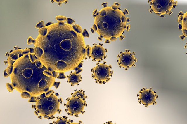 Regulator knew about St Basil’s outbreak days before federal govt
