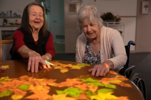 2 -Vasse Lions bring a touch of magic to Busselton seniors with dementia