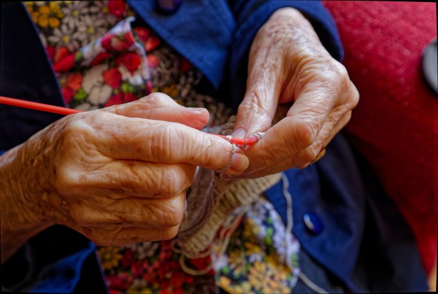 The wrinkled hands of a 88 year old grandmother busy knitting a woolen article.