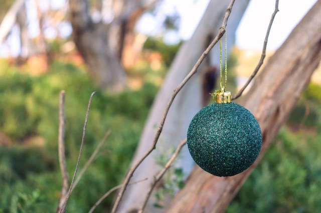 green christmas bauble in australian bushland