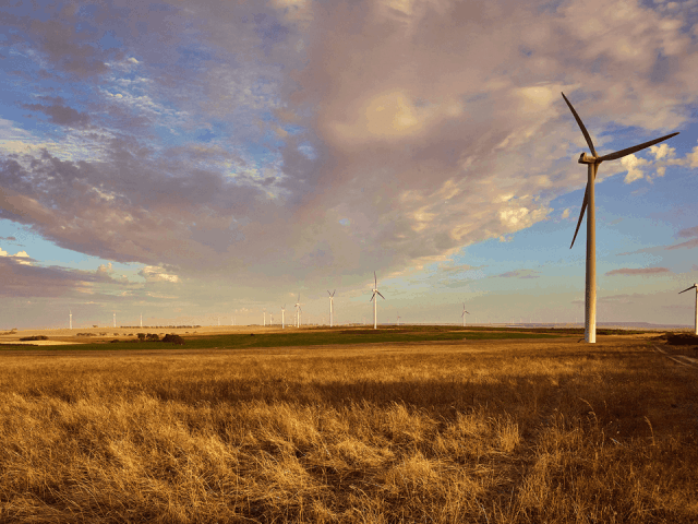 Providers go green