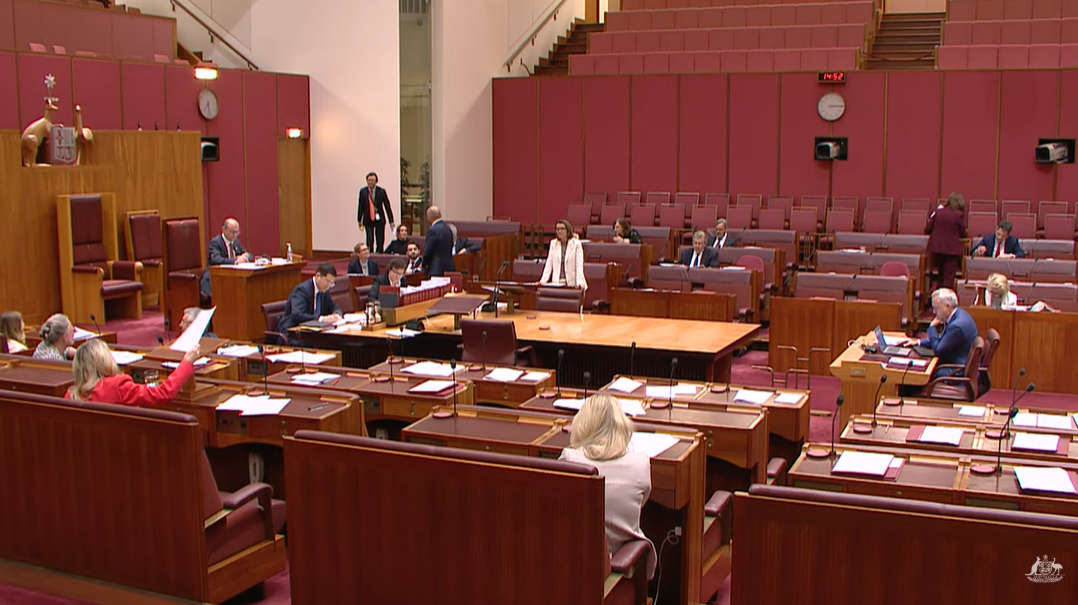 Senators move two new amendments to new Act