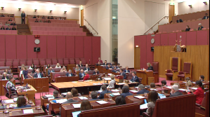 Senator Jenny McAllister addressing the Senate on 31 July
